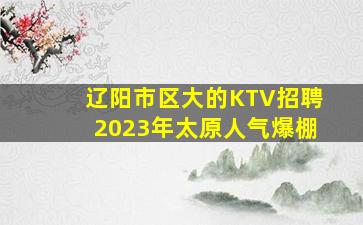 山南酒吧招聘